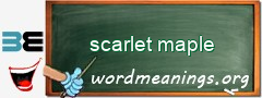 WordMeaning blackboard for scarlet maple